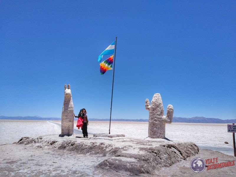 Estatua llama en salinas grandes Jujuy