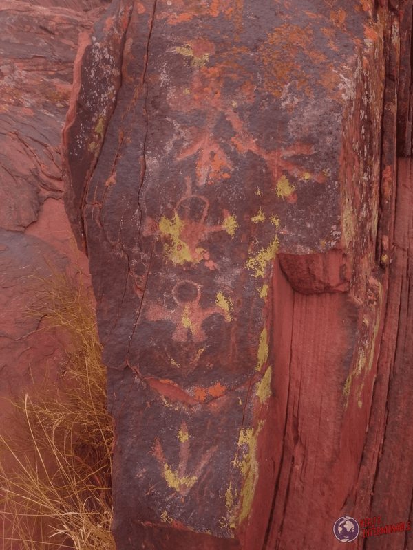 Petroglifos en Talampaya