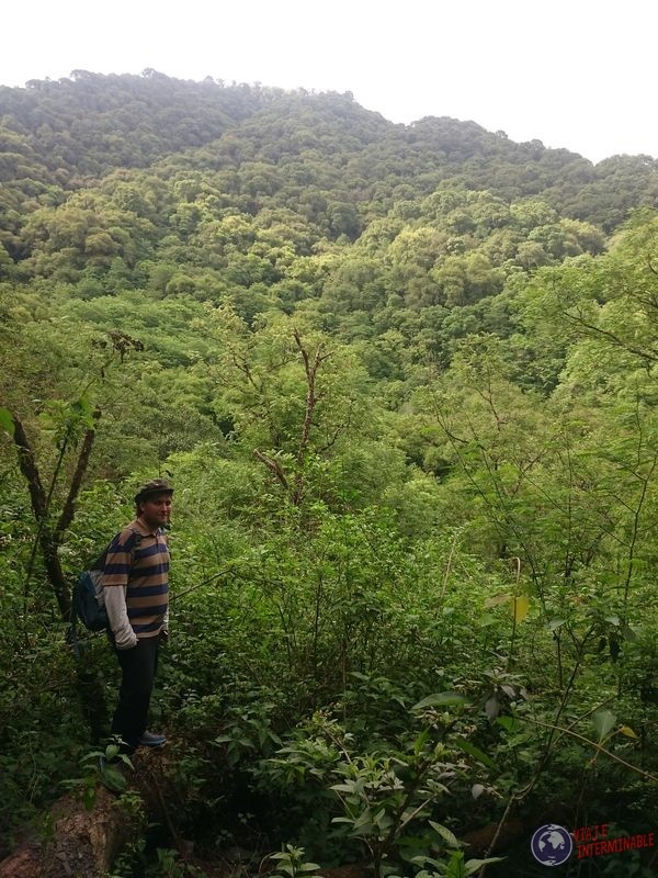 Quebrada de San Lorenzo en las alturas