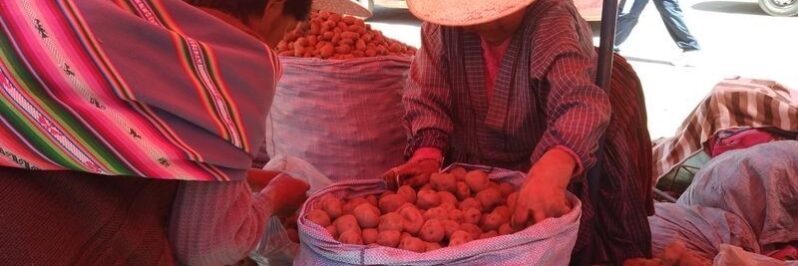 Vendedoras de papas en Oruro Vendedoras de papas en Oruro