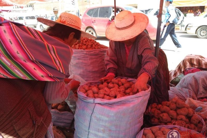 Vendedoras de papas en Oruro