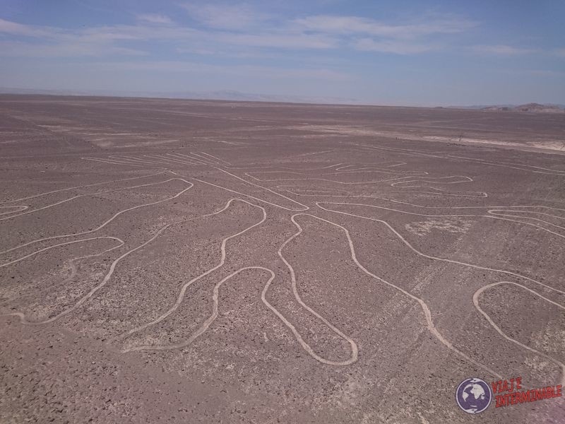 Lineas de Nazca Arbol Portada Lineas de Nazca Arbol Portada