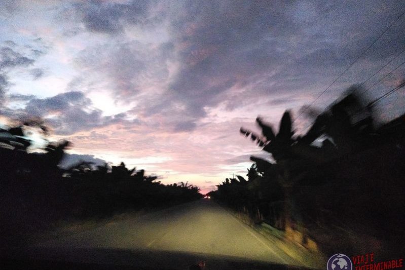 Ruta Palmeras Machala