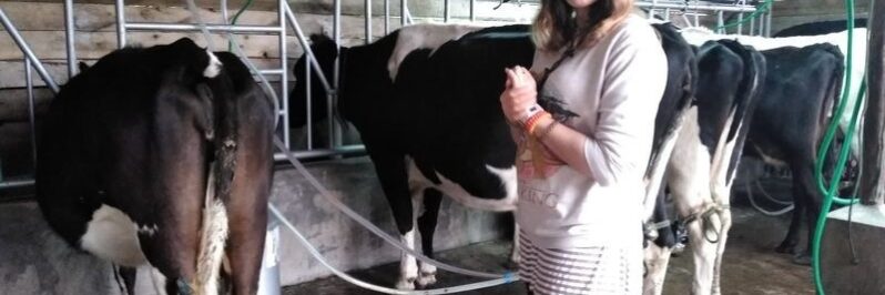 Entre las vacas granja organica Pifo Ecuador Entre las vacas granja organica Pifo Ecuador