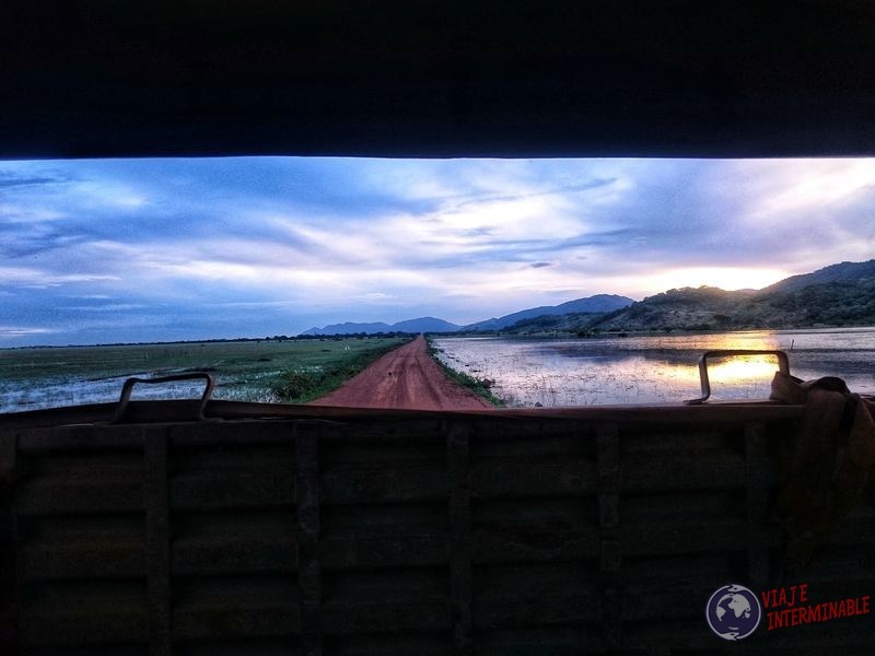 Guyana Vista desde el camión de guerra ruta