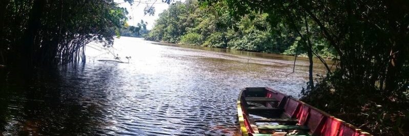 Río entre Kourou y Cayenne Guayana Francesa Río entre Kourou y Cayenne Guayana Francesa