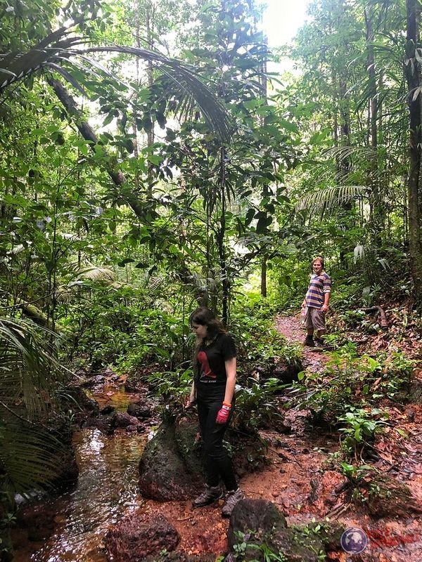 Trekking montaña monos Guayana Francesa Kourou