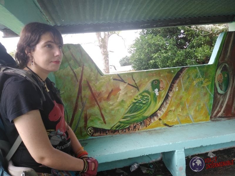 Joy Parada Bus Panama