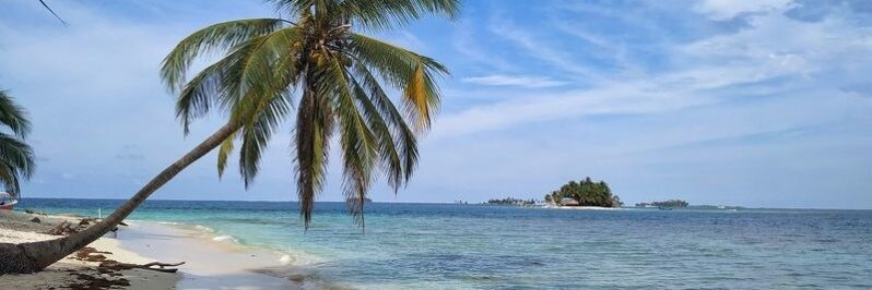 palmera sobre costa playa san blas panama caribe
