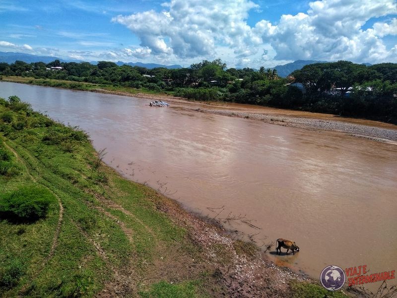 Río Choluteca Honduras con vaca