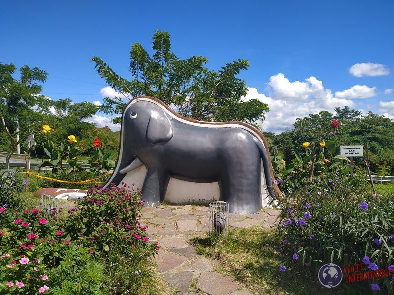 Elefante y sombrero el Principito El Salvador