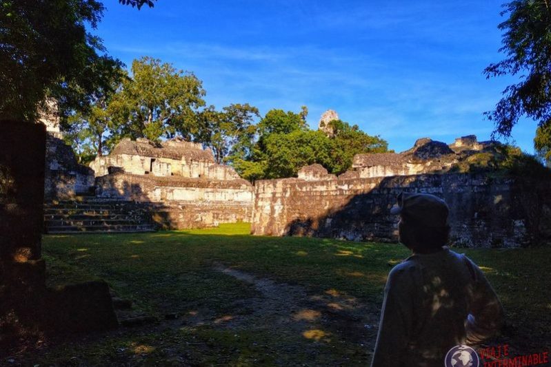 Tikal ruinas con Wa en Guatemala