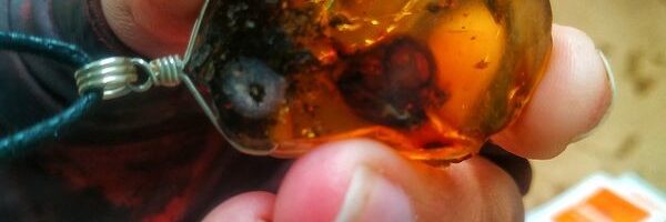 Ámbar en San Cristóbal de las Casas México Chiapas