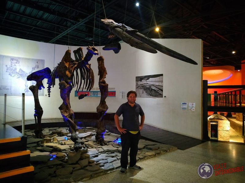 Wa con mamut en museo Parque Guadalajara México