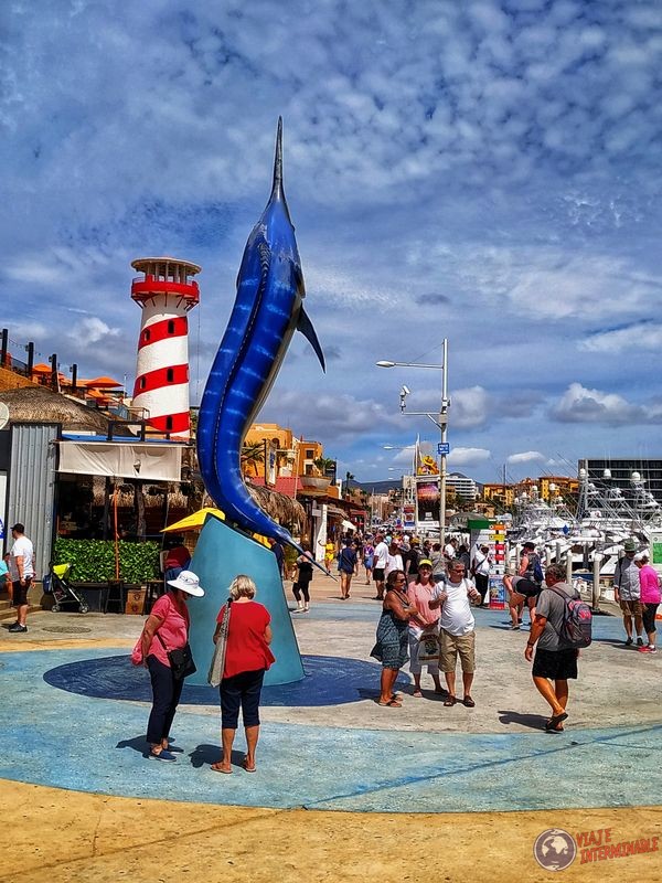 Pez espada en Cabo San Lucas Baja California Mexico