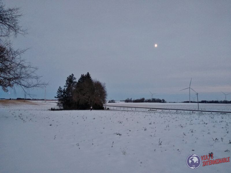 Nieve en granja Swensson Nieve en granja Swensson