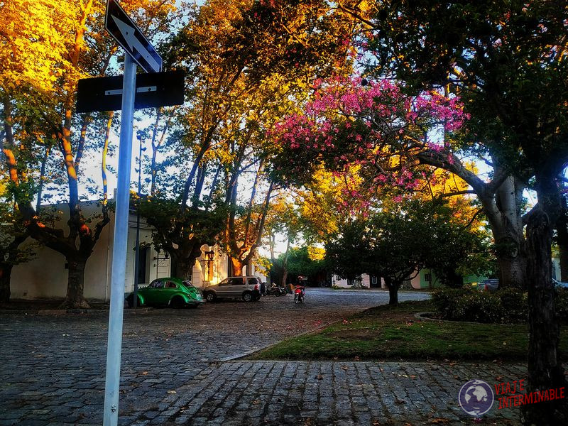 Calles flores Colonia Uruguay