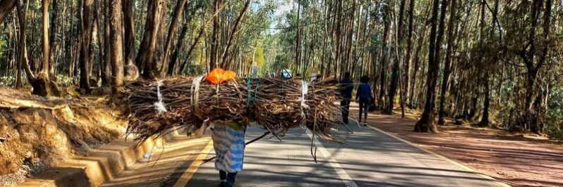 Trekking Entoto señora cargando mujeres Adis Abeba Etiopia