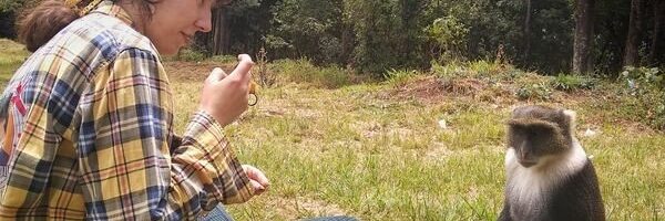 Mono amistoso en City Park Nairobi Kenia Africa Mono amistoso en City Park Nairobi Kenia Africa