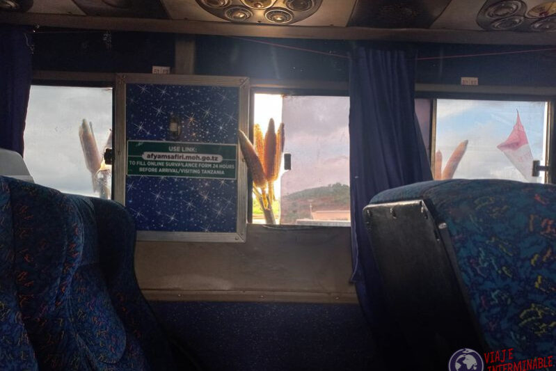 Choclos Maiz asomados ventana Bus Zambia Tanzania Choclos Maiz asomados ventana Bus Zambia Tanzania